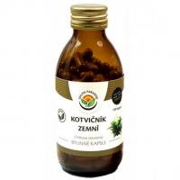 Kotvičník zemní - Tribulus kapsle 120ks - Salvia Paradise