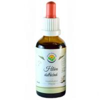Hlíva ústřičná AF (bez alkoholu) tinktura 50ml - Salvia Paradise